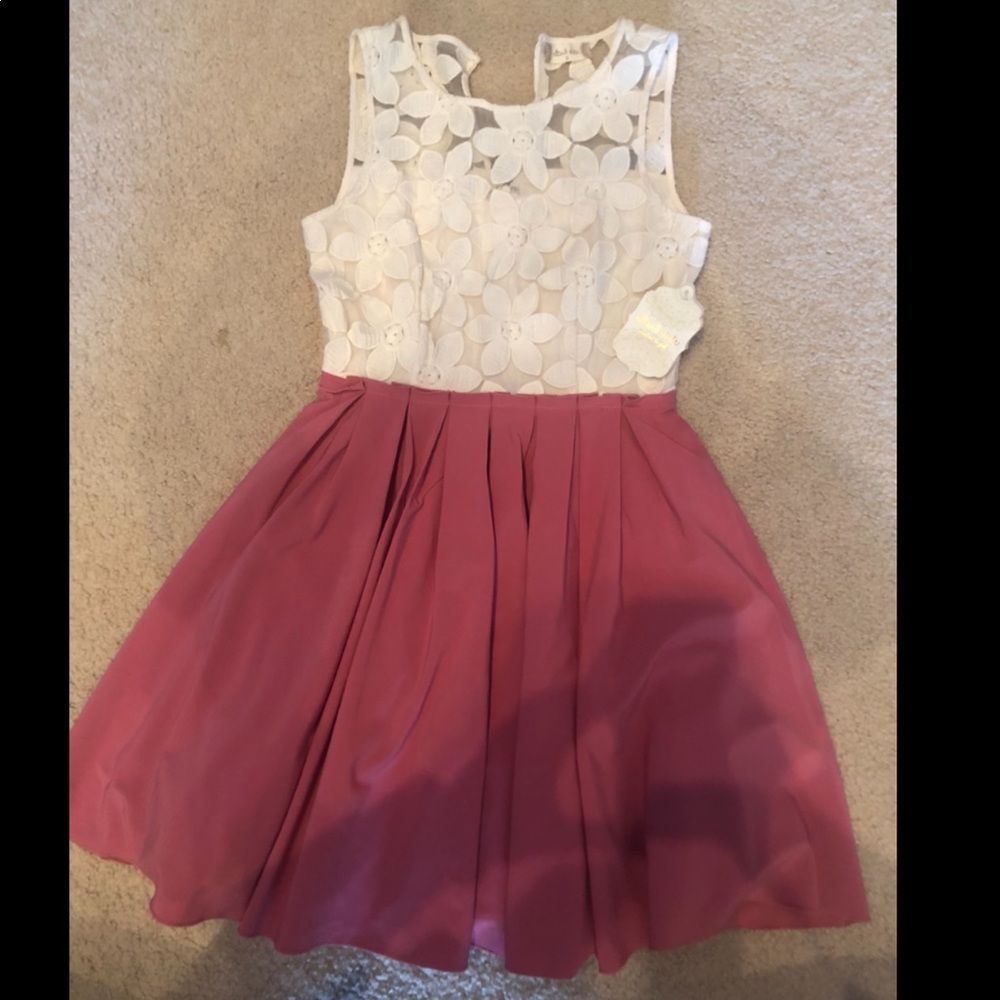 Altar’d State Pink and white lace dress